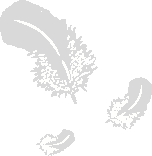 FederUl.gif (192 Byte)